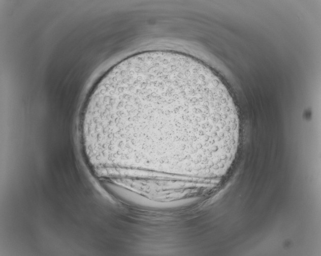 X0000116871517201002021116