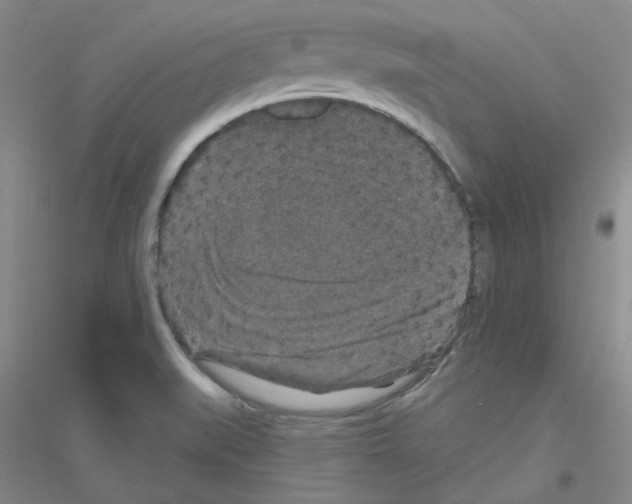 X0000116871519201002021116