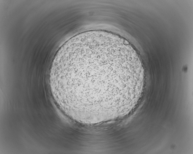 X0000116871521201002021116