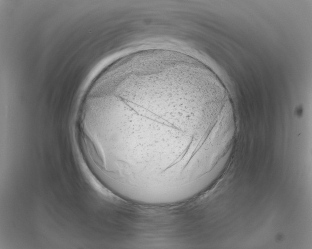 X0000116871523201002021116
