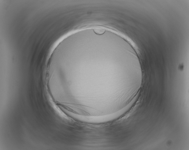 X0000116871526201002021116