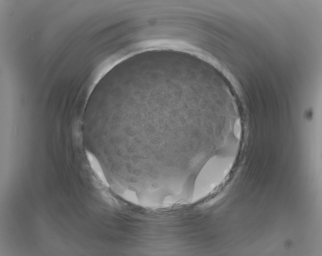 X0000116871529201002021116