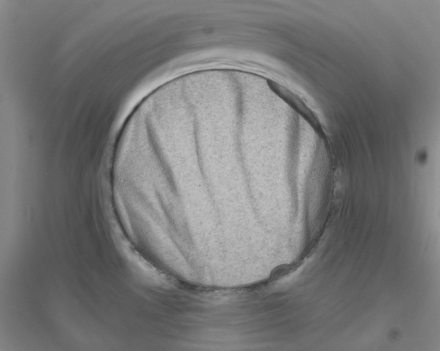 X0000116871530201002021116