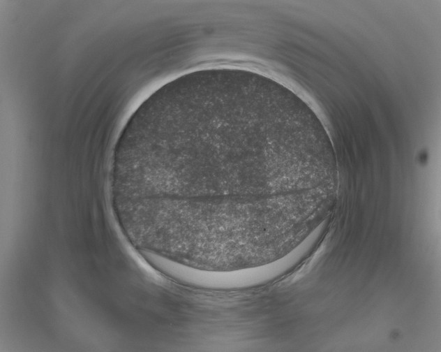 X0000116871533201002021117