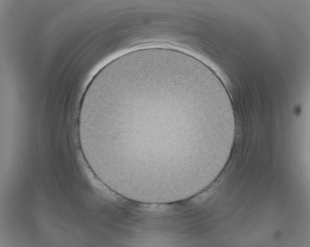 X0000116871534201002021117