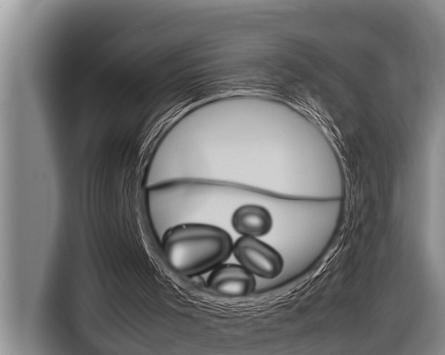 X0000116880001200912220954