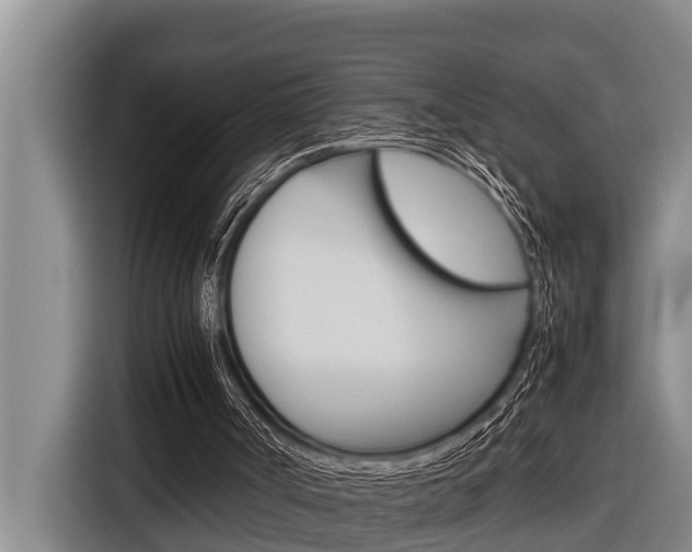 X0000116880002200912220953
