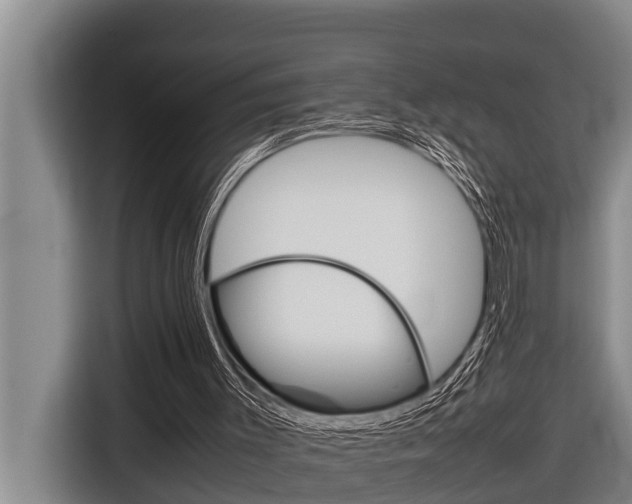 X0000116880003200912220953