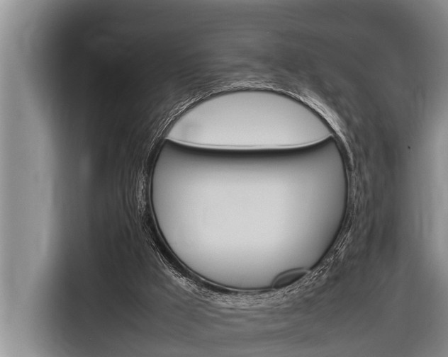 X0000116880009200912220953