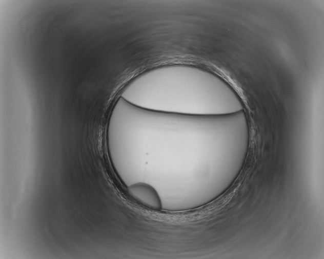 X0000116880010200912220953