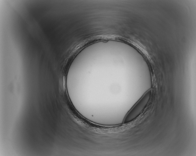 X0000116880013200912220953
