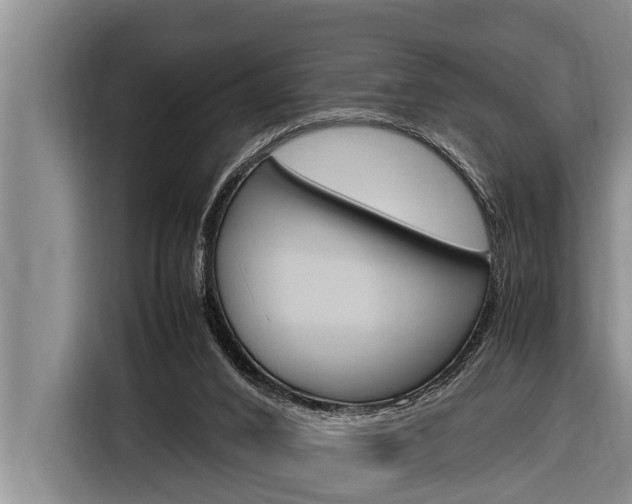 X0000116880016200912220953