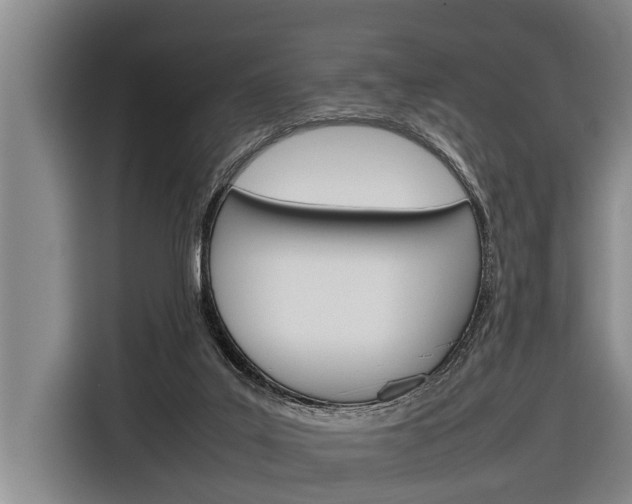 X0000116880019200912220953