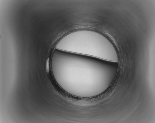 X0000116880020200912220953
