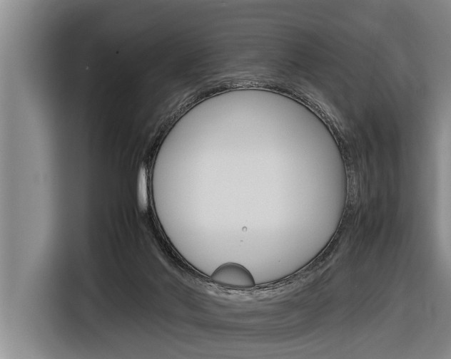 X0000116880022200912220953