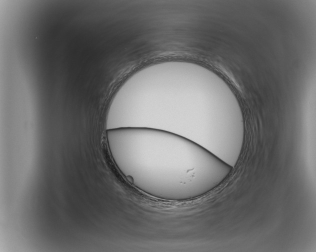 X0000116880023200912220953