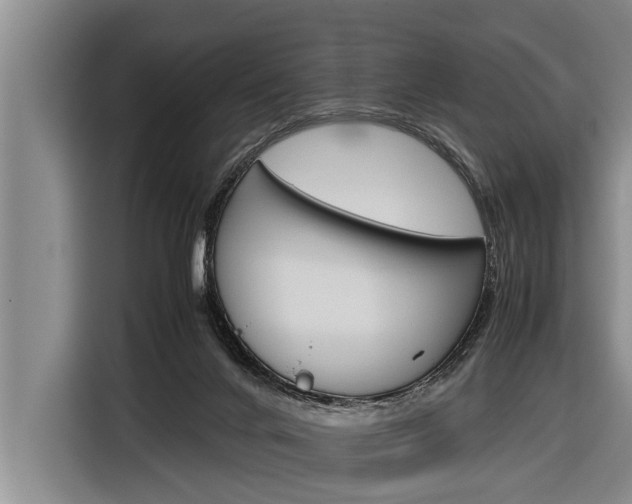 X0000116880024200912220953