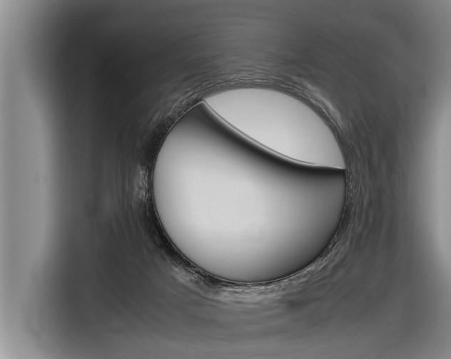 X0000116880025200912220953