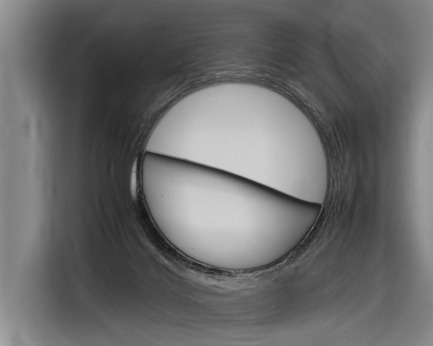 X0000116880028200912220953