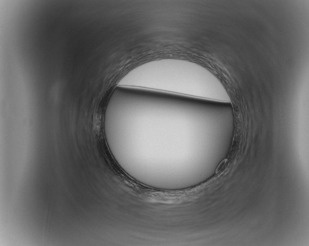 X0000116880033200912220953