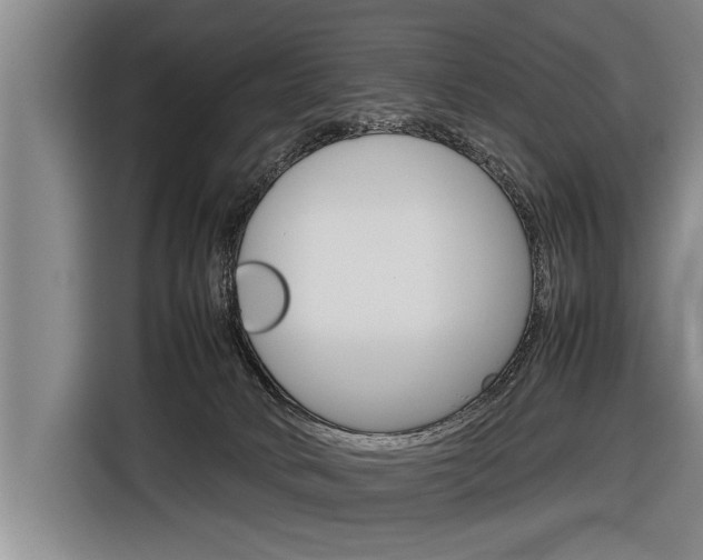 X0000116880034200912220953