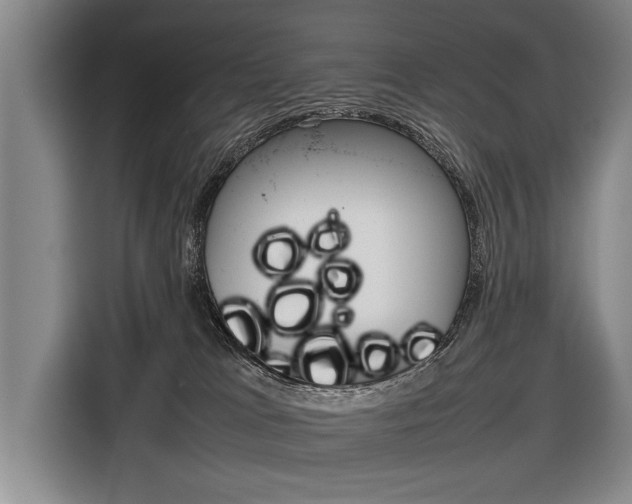 X0000116880037200912220953