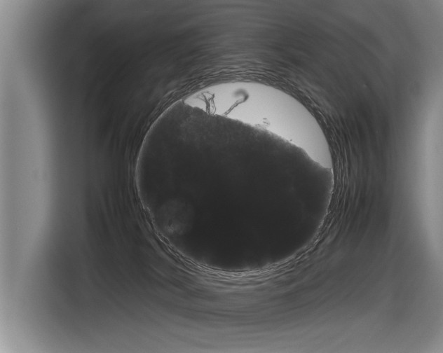 X0000116880038200912220953