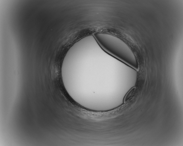 X0000116880039200912220953