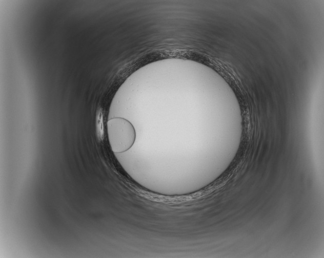 X0000116880042200912220953