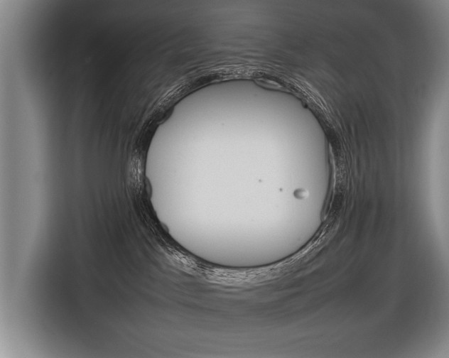 X0000116880045200912220953