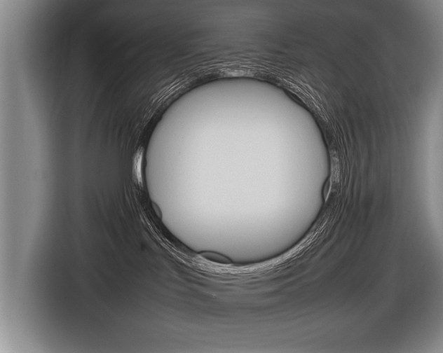X0000116880047200912220953