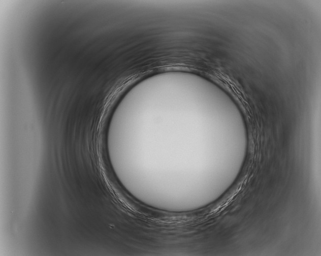 X0000116880049200912220952
