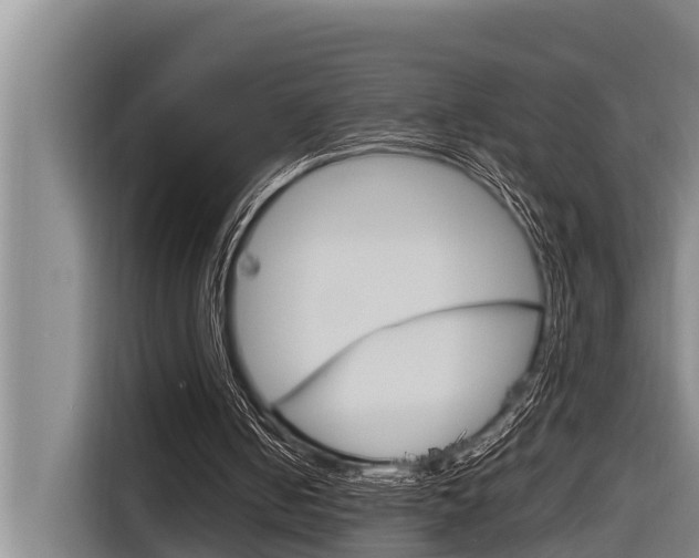 X0000116880050200912220952