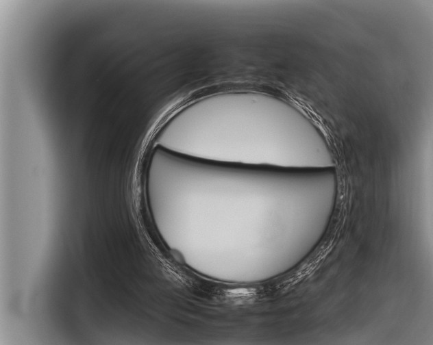 X0000116880053200912220952