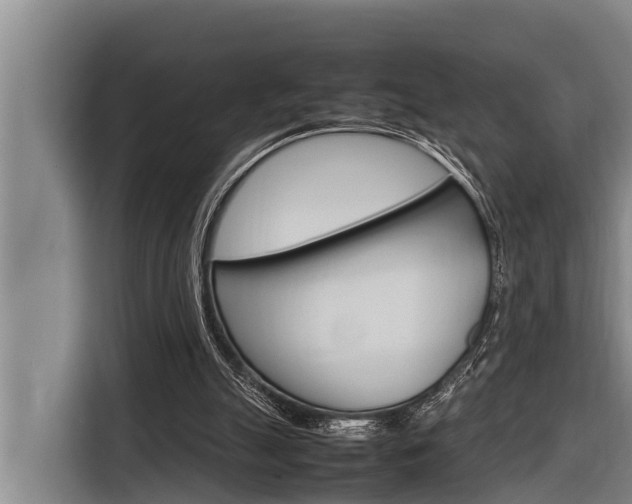 X0000116880055200912220952