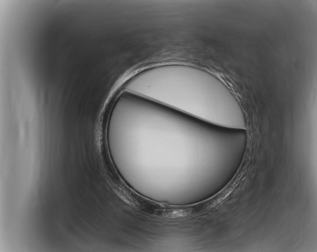 X0000116880056200912220952