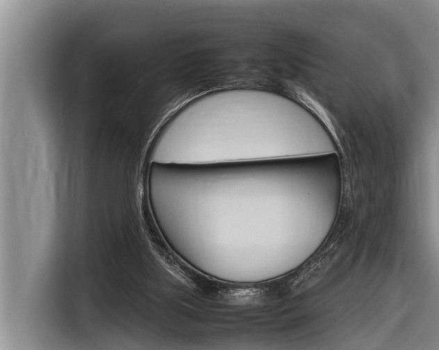 X0000116880059200912220952
