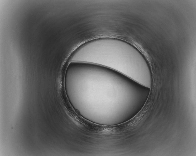 X0000116880060200912220952
