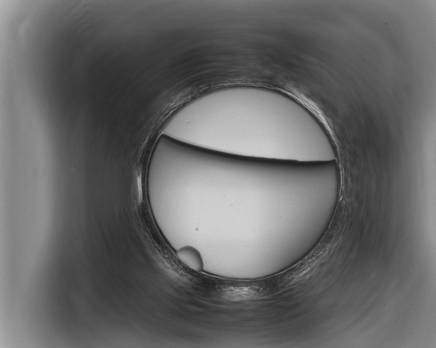 X0000116880061200912220952