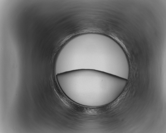 X0000116880062200912220952