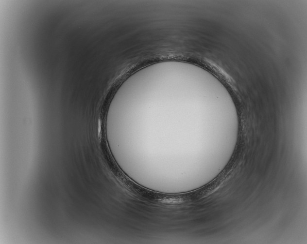 X0000116880067200912220953