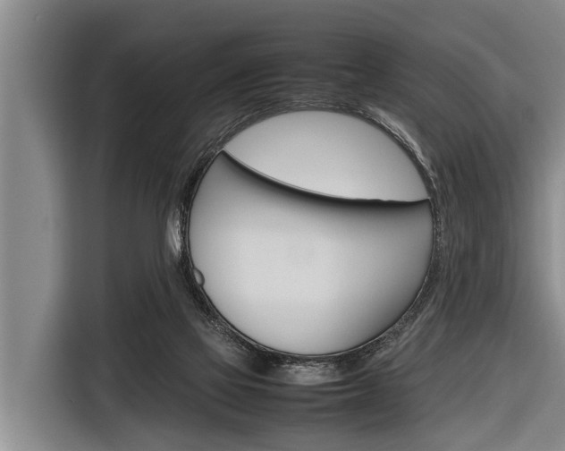 X0000116880069200912220953