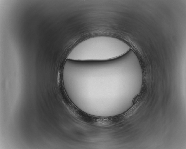 X0000116880070200912220953