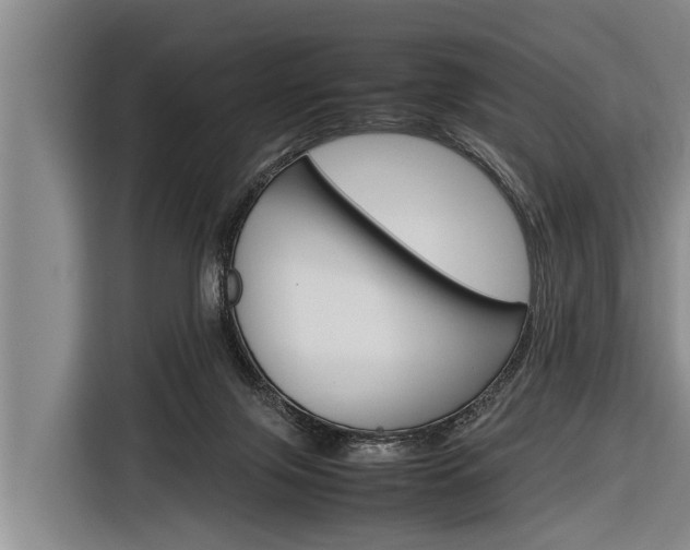 X0000116880071200912220953