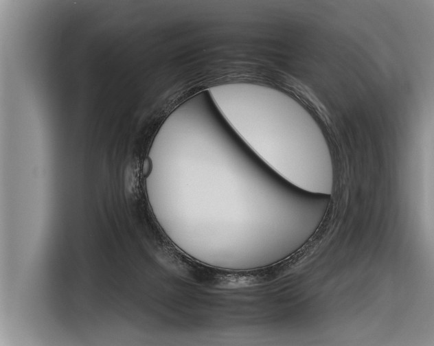 X0000116880073200912220953