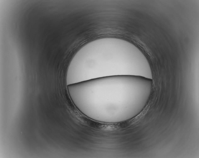 X0000116880074200912220953