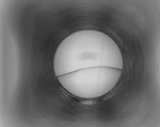 X0000116880075200912220953