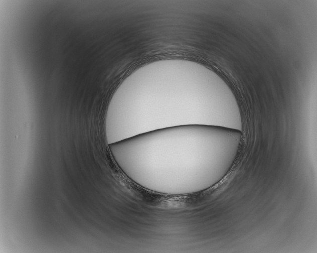 X0000116880078200912220953