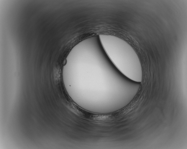 X0000116880081200912220953