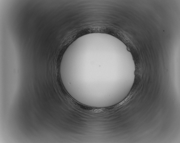 X0000116880086200912220953